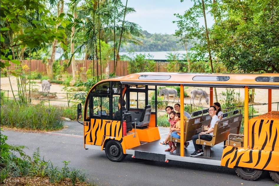 Singapore Zoo dengan Pengalaman Naik Trem